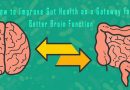 Gut and Brain